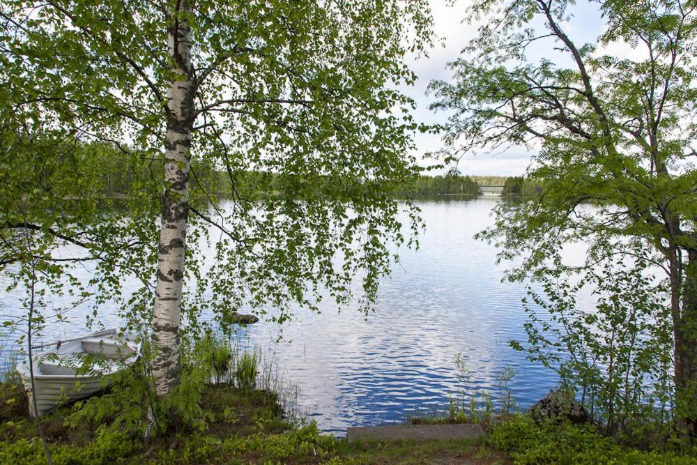 Lemettilae Countryside Accommodation Petäjävesi Værelse billede