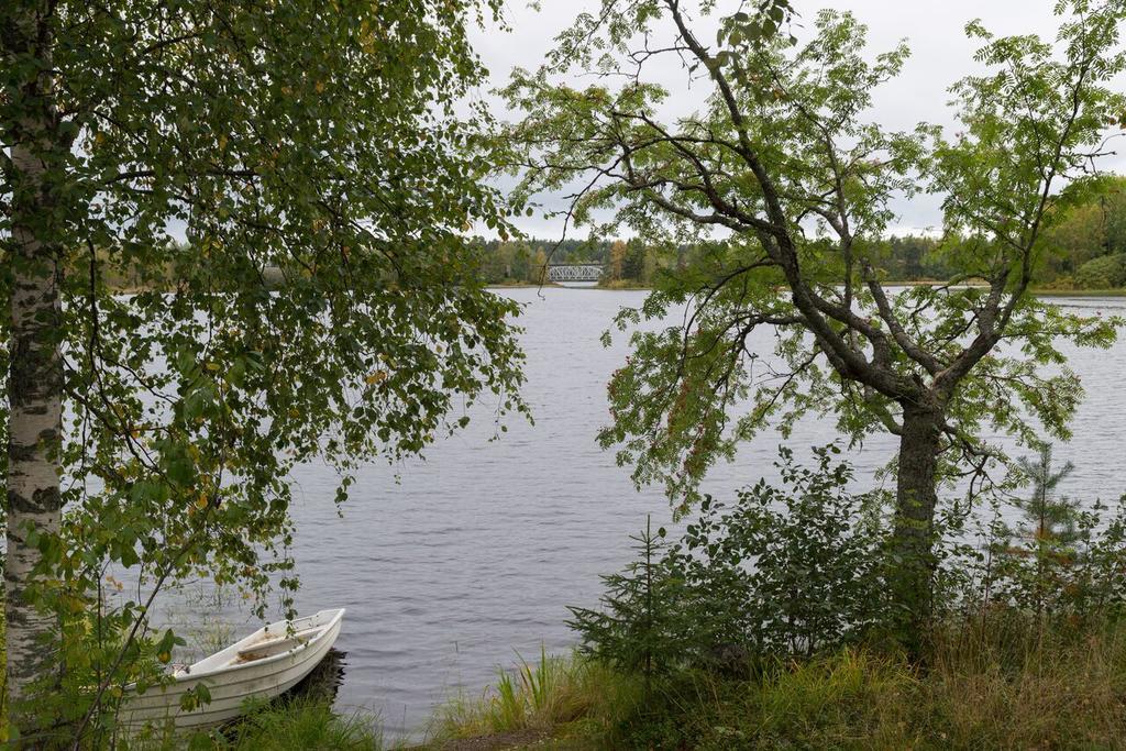 Lemettilae Countryside Accommodation Petäjävesi Eksteriør billede
